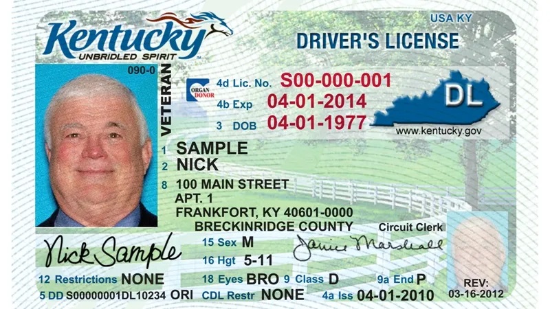 Cara Mendapatkan Lisensi Driver di Kentucky, Lousiana, USA